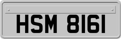 HSM8161