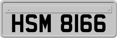 HSM8166