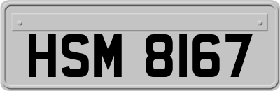 HSM8167