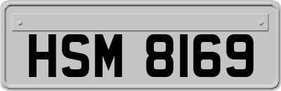HSM8169