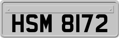 HSM8172