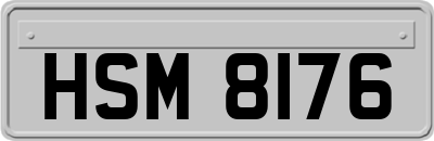 HSM8176