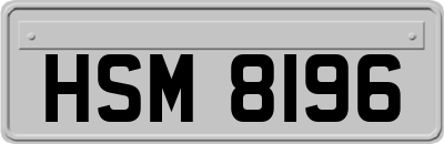 HSM8196