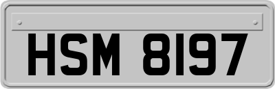 HSM8197