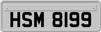 HSM8199