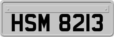HSM8213