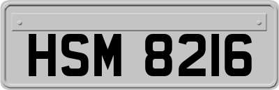 HSM8216
