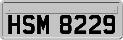HSM8229