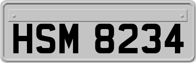 HSM8234