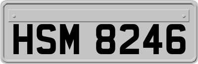 HSM8246