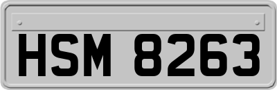HSM8263