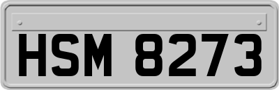 HSM8273