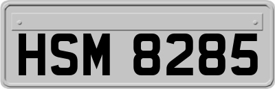 HSM8285