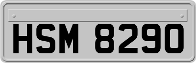 HSM8290