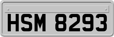 HSM8293