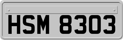 HSM8303