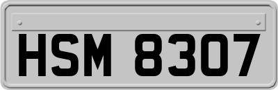 HSM8307