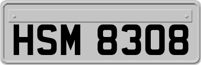 HSM8308