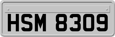 HSM8309