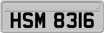 HSM8316