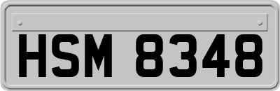 HSM8348