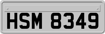 HSM8349