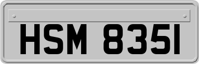 HSM8351