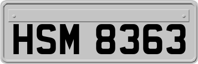 HSM8363