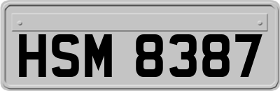 HSM8387