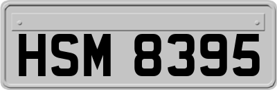 HSM8395