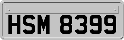 HSM8399