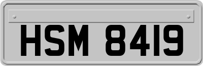 HSM8419