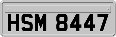 HSM8447