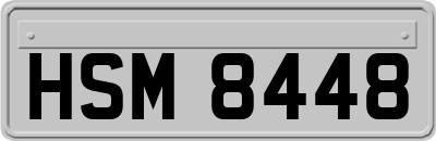 HSM8448