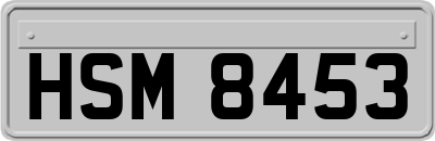 HSM8453