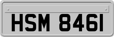 HSM8461