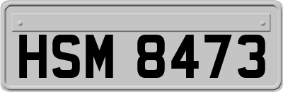 HSM8473