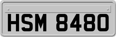 HSM8480