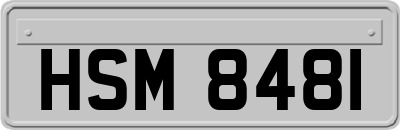 HSM8481