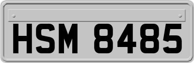 HSM8485