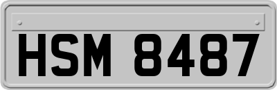HSM8487