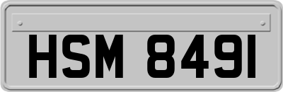 HSM8491