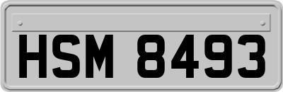 HSM8493