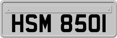 HSM8501