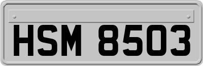 HSM8503