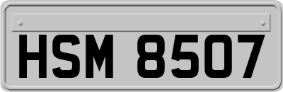 HSM8507