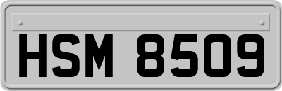 HSM8509