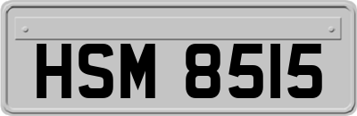 HSM8515