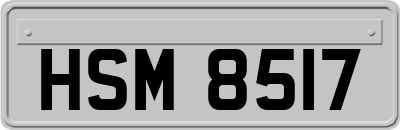 HSM8517
