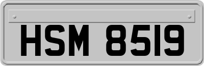 HSM8519